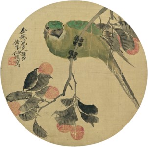 Parrot and Lychees