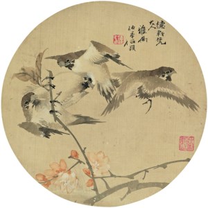 Birds and Flowers