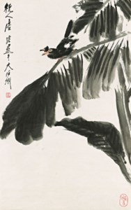 Mynah under Plantain Leaf