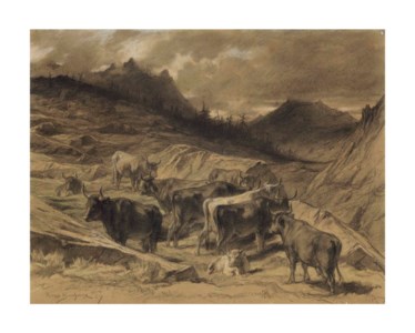 Salers cattle in the Auvergne