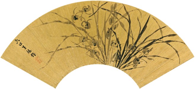 Daylily
