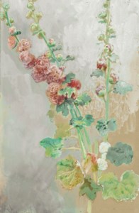 Hollyhocks