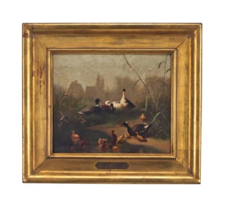 Ducks in a Barnyard Pond