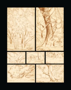 Untitled (Forest Scenes)