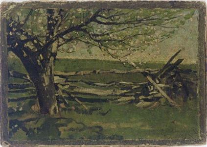Apple Blossoms with Fence