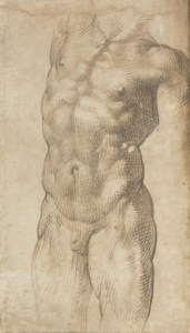 A nude male torso