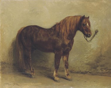 Tethered pony