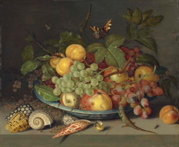 Fruit in a Wan-li kraak dish and shells on a ledge with a lizard