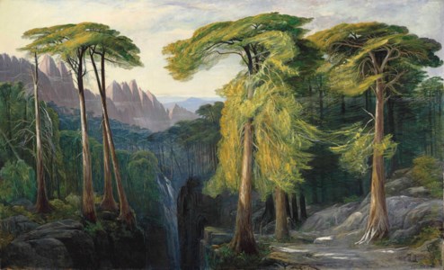 Edward Lear, The Forest of Bavella