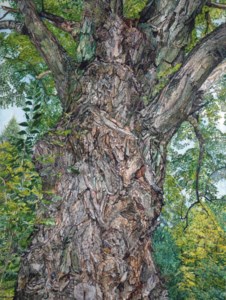 The Tree