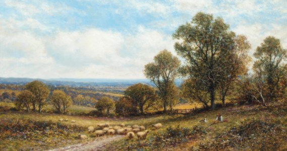 A shepherd and his flock