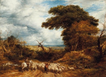 The purchased flock