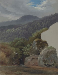 A mountainous landscape near Langenbrand, Germany