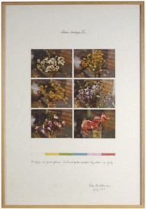 Colour Analysis II; and a companion work, Navajo Reservation, Desert Project