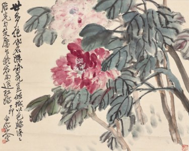 Peony