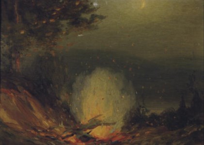 Fire in the woods under a night sky