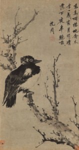 Bird on Branch