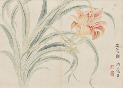 Orchid