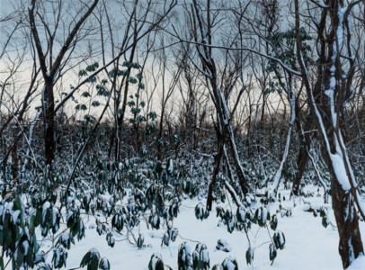 UNTITLED 3862