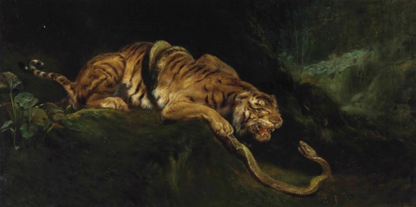 A Tiger Struggling with a Snake