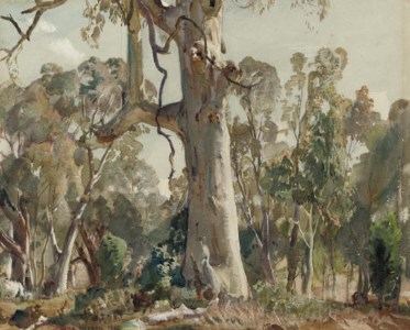 The Gum Tree