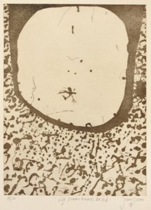 Edge of the Void: 'Frog Jumping', 'The Cooper Enters the Void', 'Life Drawn towards the Void', 'Emus by the Lake', 'The Christ Bird Arrives', and 'The Leap'