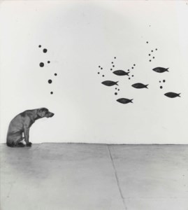 Dog-Fish-Bubbles, 1972