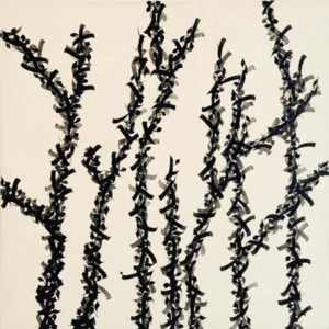 Untitled 1 (from the Derakht Series)