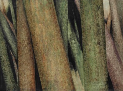 Untitled (from the Tree-Trunks series)