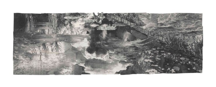 Water Lilies
