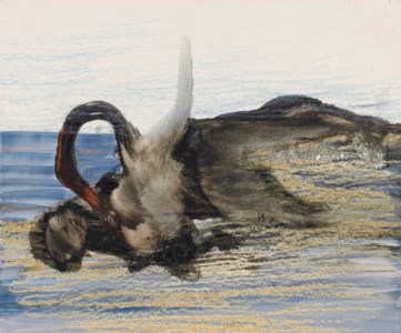 Leda and the swan