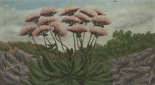 Fleurs