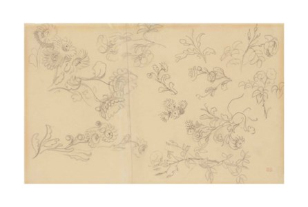 Studies of roses and other flowers