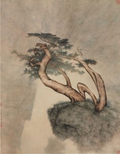 Old Pine