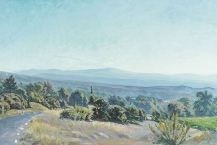 Morning in Provence