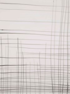 Linien 31