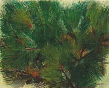 Pinos