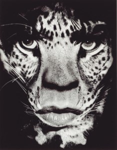 Mick Jagger, Los Angeles, 1992