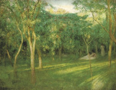 Orchard