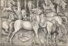 Group of Seven Horses