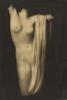 Modern Torso