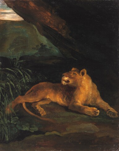 Prowling lioness