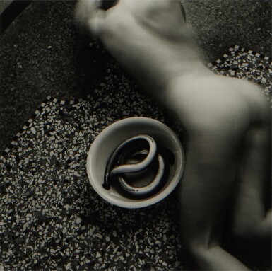 Untitled (from Eel Series)