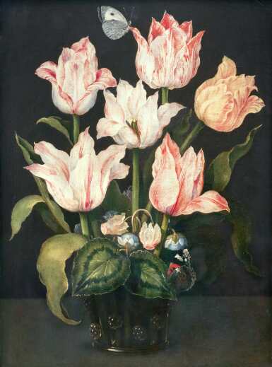 Still life with tulips in a glass vase, with cyclamen and anemone