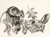 Willie Fieldmouse and Little Georgie