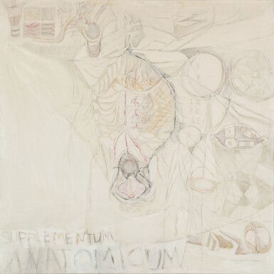 Supplementum anatomicum
