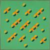 Orange on Green