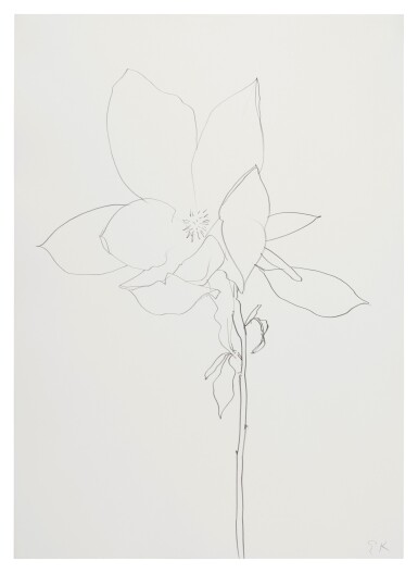 Magnolia