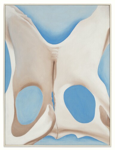 Pelvis