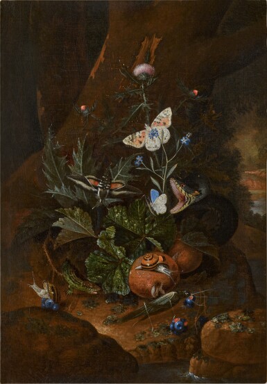 A forest floor still life, with flowers, mushrooms, butterflies, a snake, a lizard, a snail and a grasshopper
